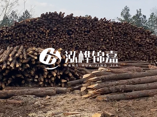 地基打木樁用什么木材 - 地基打木樁的能撐幾年？