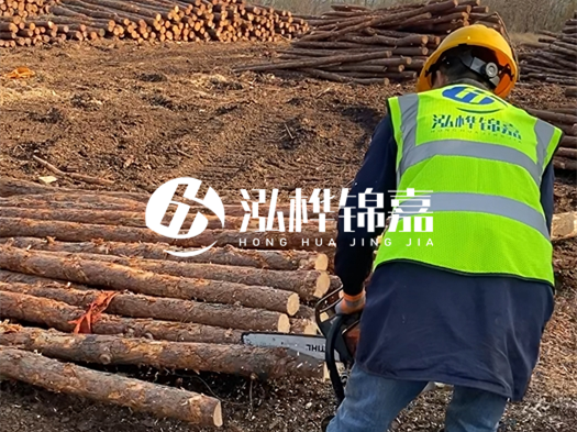 哪些木樁廠家能提供快速定制服務(wù)？哪些木樁廠家在國(guó)內(nèi)有多個(gè)生產(chǎn)基地？