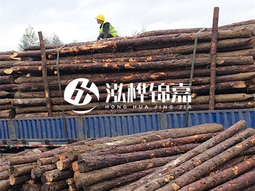 防洪防汛用松木樁的單價是多少？4米長10公分多少錢一根？