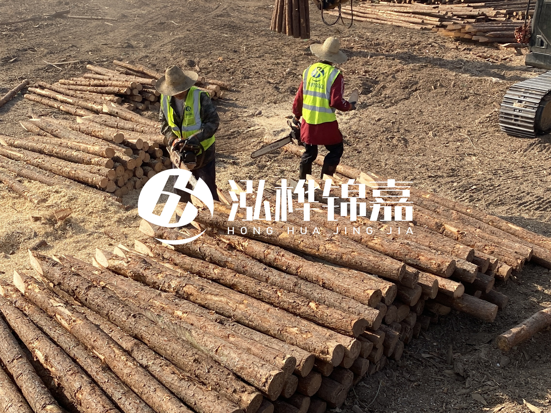 河道木樁報價在汛期前后會有波動嗎？什么時候買最便宜？