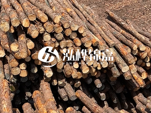 江西有哪些松木樁生產(chǎn)廠家？松木樁廠在什么位置？