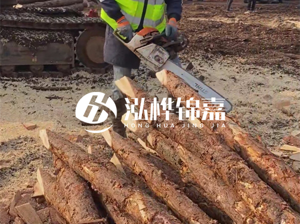 松木樁河道護坡怎么施工？打樁多少錢一根？