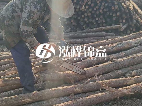 廣東打樁木源頭廠家泓樺錦嘉 - 如何選擇適合特定邊坡的松木樁？