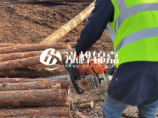 河道打木樁多少錢一根？5米直徑10松木樁打樁多少錢？