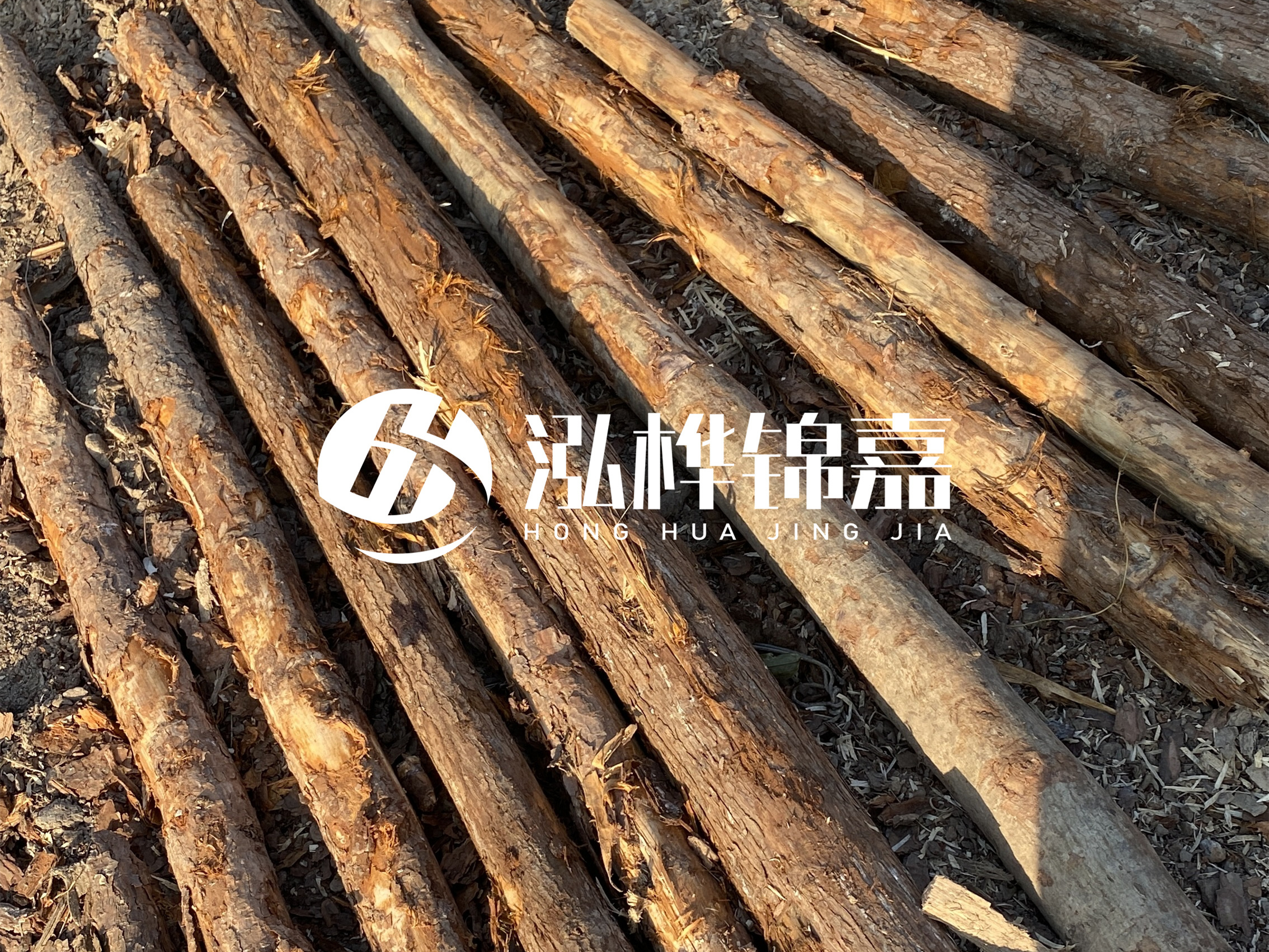 河道木樁多少錢一根？河道木樁的使用以及保養(yǎng)方法?