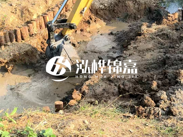 廣東松木樁批發(fā)廠家 - 3 米小頭 8CM 松木樁多少錢？