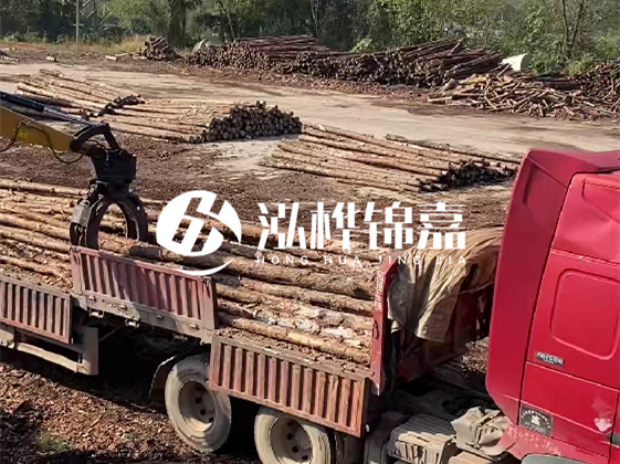 四川松木樁廠家泓樺錦嘉-哪一種打樁木最便宜？