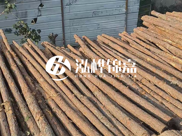 松木樁打樁后清淤怎么處理？有沒有全包的公司？