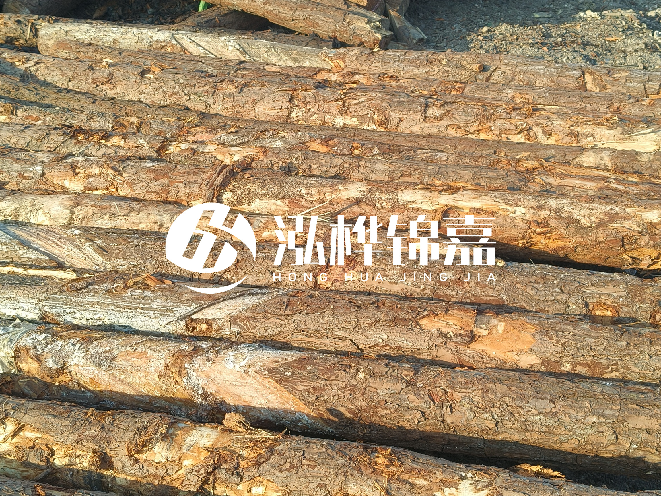 河道木樁的含水率過(guò)高會(huì)有什么問(wèn)題？怎么檢查松木樁含水率？