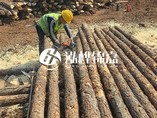 松木樁批發(fā)廠家泓樺錦嘉-河道打樁木施工中怎么防止樁頭被打壞？