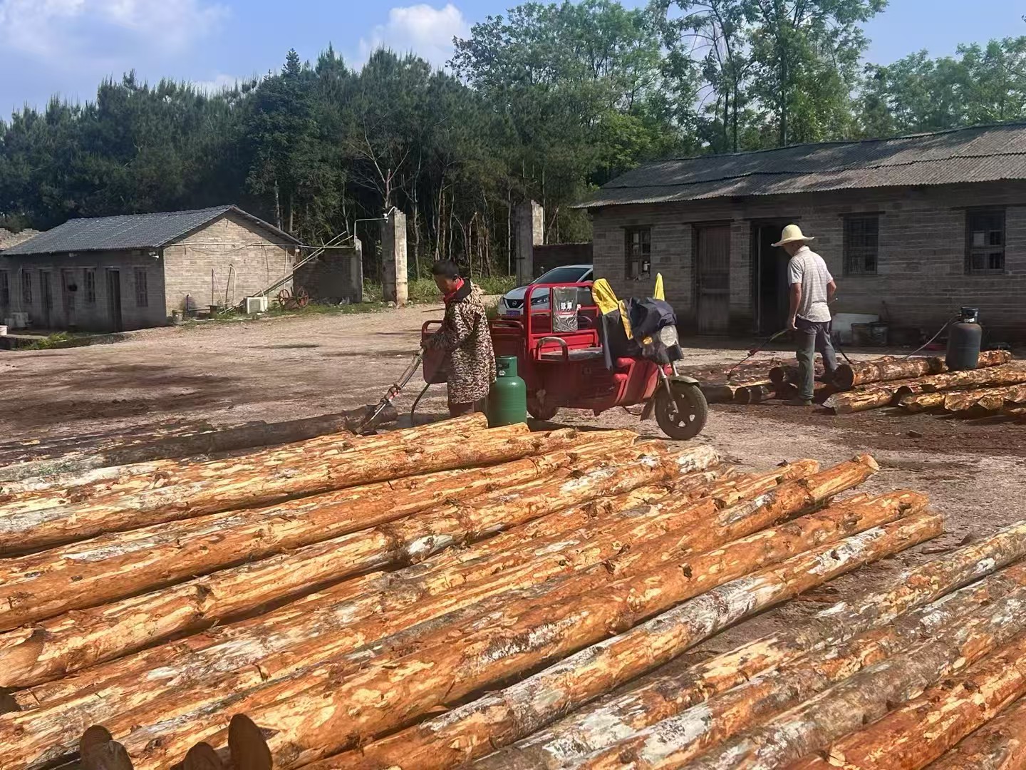 松木樁批發(fā)廠家泓樺錦嘉-圍堰松木樁為什么要交錯排列？