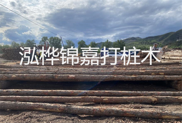 松木樁水下施工：無拖累，高效穩(wěn)固！